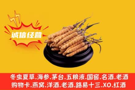 锦州回收冬虫夏草
